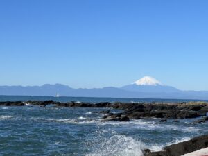 佐島釣果情報～メバル・アカハタなど